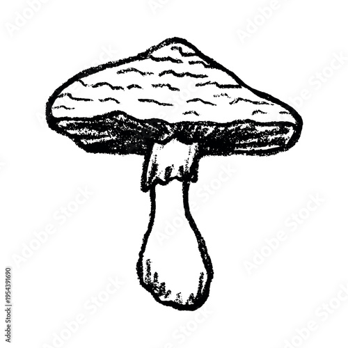 Hand drawn mushroom doodle Botanical illustration Cute autumn mushroom Healthy eco food Organic vegetarian food For stickers, greeting card, design, print, packaging, decor, kids books