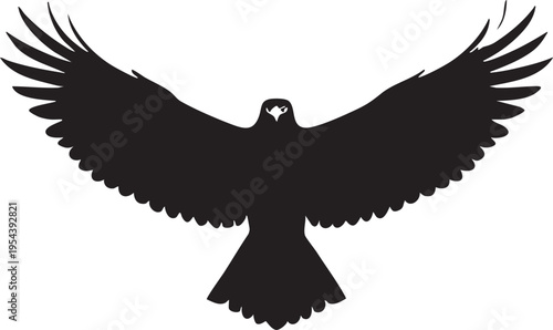 Eagle vector silhouette: flying bird of prey graphic design eps