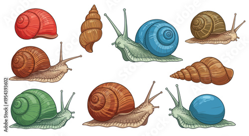 Collection of Colorful Snails and Shells on White Background