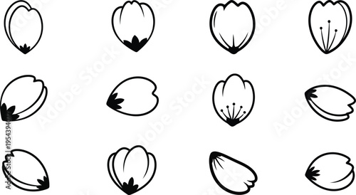 Delicate flower petals and blooming buds line art collection for botanical and nature designs