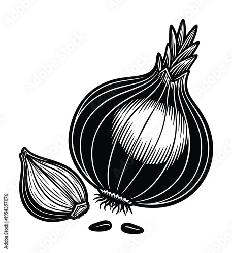 Vector of an onion with a section cut out to reveal its inner layers