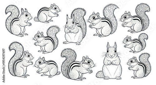 Collection of Cute Hand-Drawn Squirrels and Chipmunks - Sketch Style