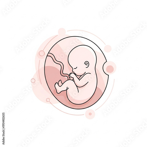 Stylized Fetus in Womb Vector Illustration Symbolizing Life and Protection