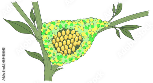 Butterfly Egg Cluster on Green Plant Stem, Nature's Nursery