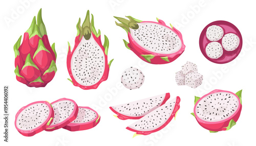 Dragon fruit vector illustration set with whole and cut fruits