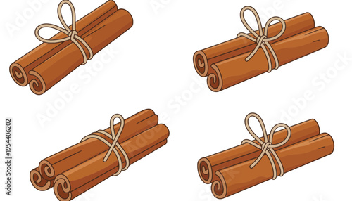 Cinnamon sticks tied with twine in a vector illustration style