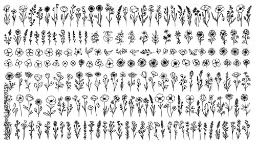 Collection of Hand Drawn Wildflower and Botanical Line Art Elements Featuring Various Simple Flora Shapes for Nature Themed Decoration and Vector Graphic Design Projects
