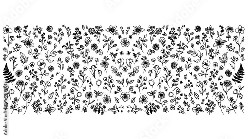 Artistic Hand Drawn Botanical Floral Vector Illustration Graphic Design Featuring Delicate Wildflower Elements, Organic Foliage, and Rustic Berries Creating a Whimsical Natural Background Perfect for 