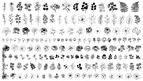 Fotografie Collection of Hand Drawn Botanical Elements Vector Graphic Set Featuring Various