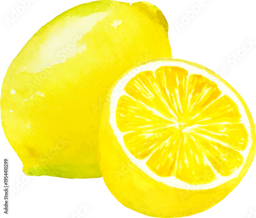 水彩で描いたレモンのイラスト