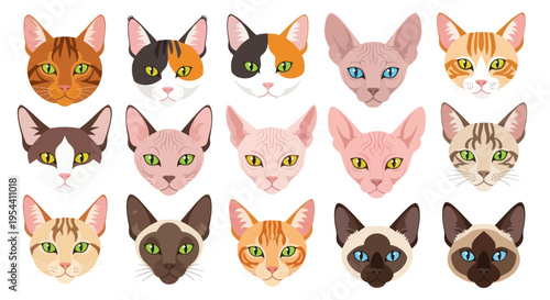 Fotografie Diverse Cat Breeds Collection, Cute Animal Faces, Various Colors and Patterns