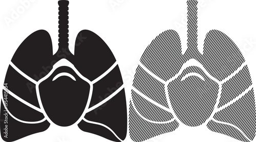 Comparison of healthy and diseased human lungs with cross-sectional views