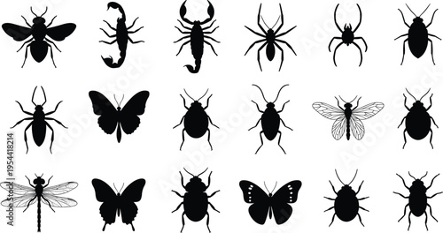 Various Insects Silhouettes, Scorpion, Butterfly, Dragonfly, Beetle, Spider, Bug Icons, Black and White Insect Vector Set, Wildlife