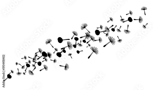 Abstract dandelion seed vector background with floating floral elements in modern minimal style