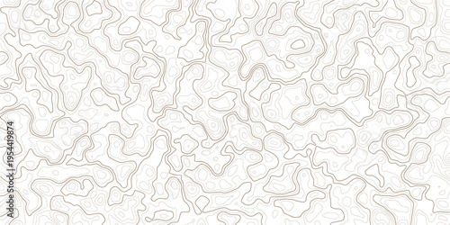 Gray abstract topographic map contour lines on white background