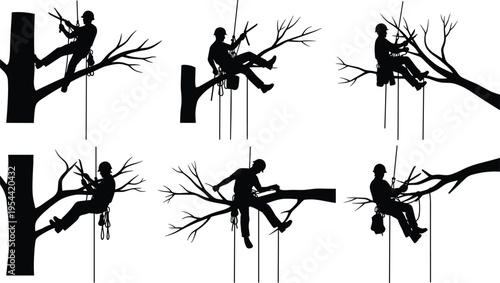 Professional Arborist Silhouettes Trimming Tree Branches with Safety Harness Gear and Pruning Tools for Forestry and Residential Landscaping Maintenance Services