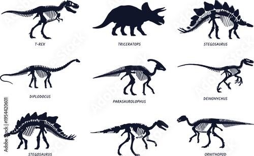 Dinosaur skeleton silhouettes vector collection featuring Tyrannosaurus Triceratops Stegosaurus Diplodocus Parasaurolophus Deinonychus and Ornithopod isolated on clean background