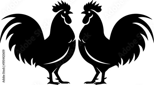 rooster and cock white and black