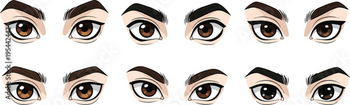 Female eyes and eyebrows vector set with different expressions makeup styles brown eyes illustration collection isolated beauty facial features design elements
