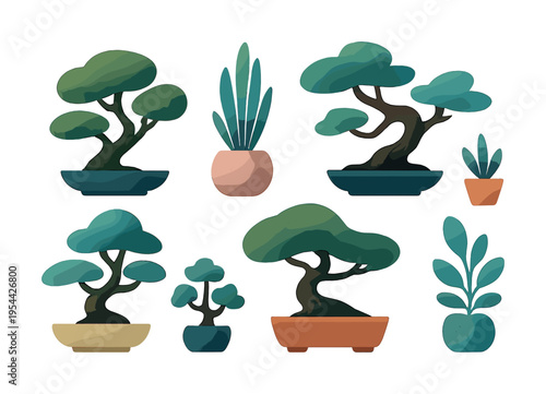 Diverse collection of potted bonsai and indoor plants