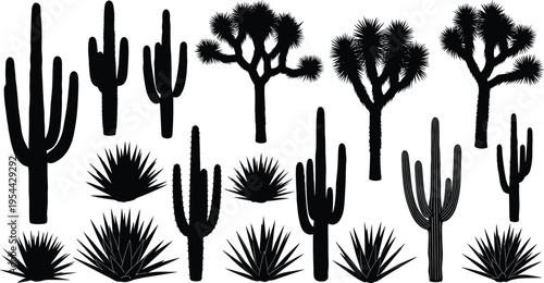 Black silhouette vector illustration set featuring various desert plants including saguaro cactus joshua trees and agave for arid landscape nature and southwestern branding design