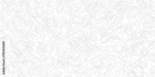 Gray topographic map lines on white background for design and texture