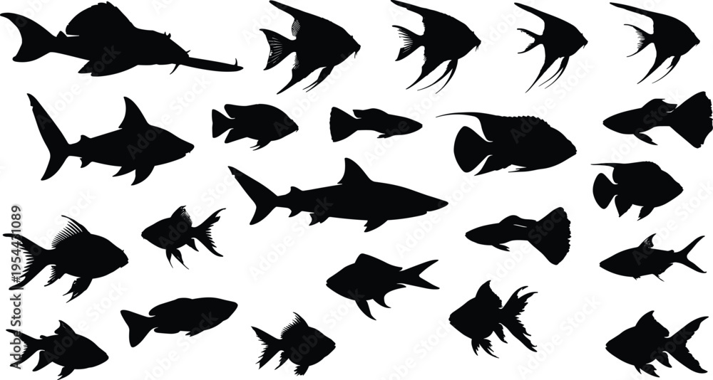 Fototapeta premium Black silhouette vector illustration set featuring various tropical fish shark species and aquatic creatures for marine biology ocean nature conservation and wildlife branding design