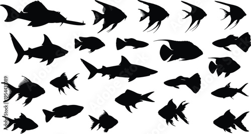 Black silhouette vector illustration set featuring various tropical fish shark species and aquatic creatures for marine biology ocean nature conservation and wildlife branding design