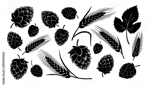 Hop and barley silhouettes vector set with cones and grain stalks in organic layout black and white agriculture collection