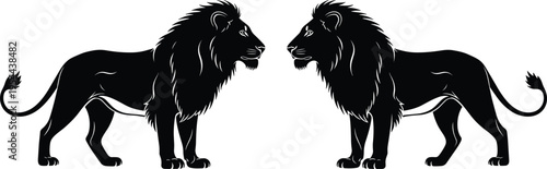 Black and white vector illustration of two symmetrical lion silhouettes facing each other, detailed mane and muscular body, artistic mirrored animal design