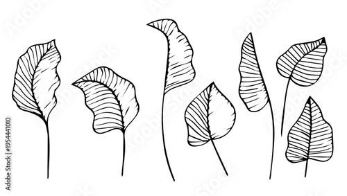 Hand Drawn Botanical Leaf Collection Set with Various Plant Outlines






