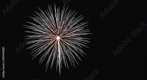 Large white firework burst with many radiating light trails shining brightly against a dark night sky background for celebratory events.