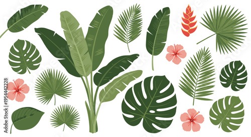 Large set of various green tropical leaves and pink hibiscus flowers for summer exotic jungle forest botanical decoration.