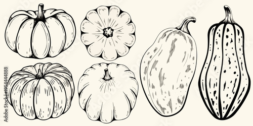 A collection of hand drawn pumpkins and gourds in black and white