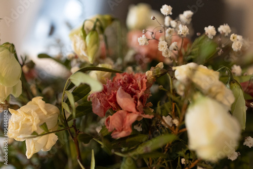 pink and white rose flowers