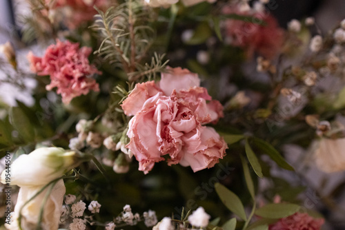 pink and white rose flowers