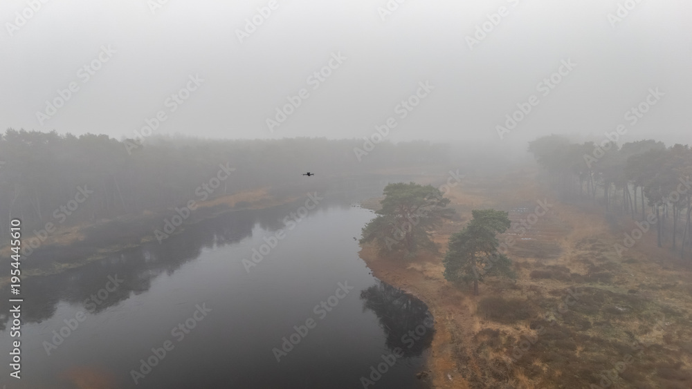 Fototapeta premium Aerial drone view of river or lake through a misty pine forest in autumn or early spring, gloomy and serene nature landscape in fog, silent and lonely scene under morning mist