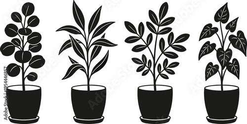 Collection of four potted houseplants, featuring diverse foliage and black pots, presented as a simple graphic illustration