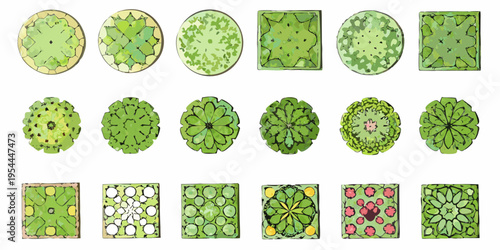 Overhead view of various shaped trees and foliage patterns