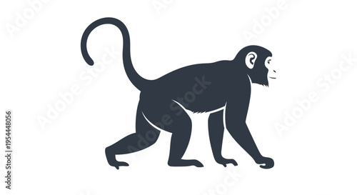 A dark silhouette of a monkey walking in profile view