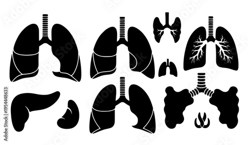 Human Lungs Silhouette Anatomy Vector Respiratory System Icon Set