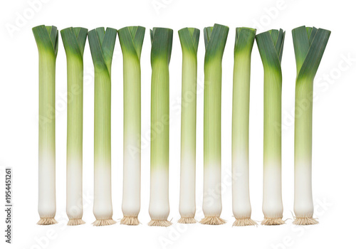 Green onions on transparent background, Bunch of scallions or spring onions with white and green stalks and roots, Fresh leek on black