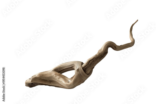 Twisted driftwood branch with unique texture and natural weathered wood isolated on a transparent background