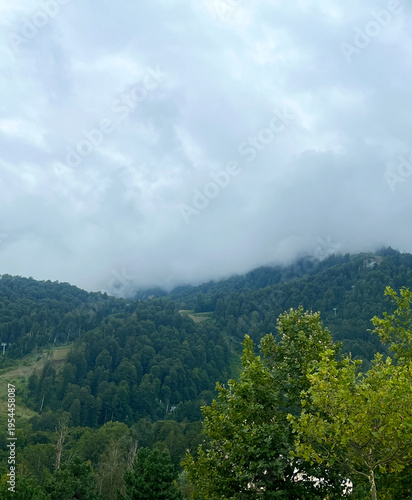 Mountains in Krasnaya Polyana, Sochi