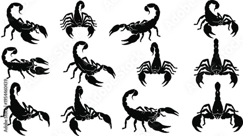 Scorpion Grid Silhouette Illustration — Dangerous Insect Arachnid Wildlife Anatomy Stinger Pincers and Bold Design Theme Artwork for Stock Art Success
