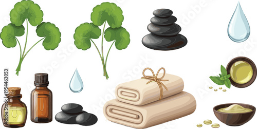 Natural spa wellness set with centella asiatica leaves, essential oils, stones, towels and herbal skincare elements vector illustration isolated on white background
