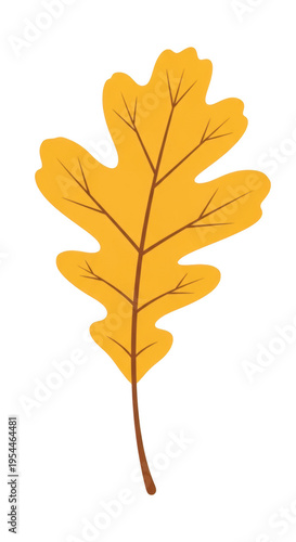 A yellow oak leaf with brown veins and stem isolated on transparent background