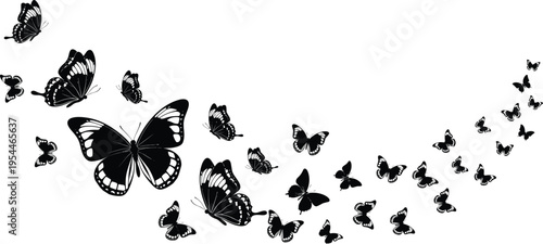 Butterfly silhouettes swarm, flying insects, elegant nature design, black butterflies, decorative elements, abstract motion, wildlife illustration, minimal background, graceful flight