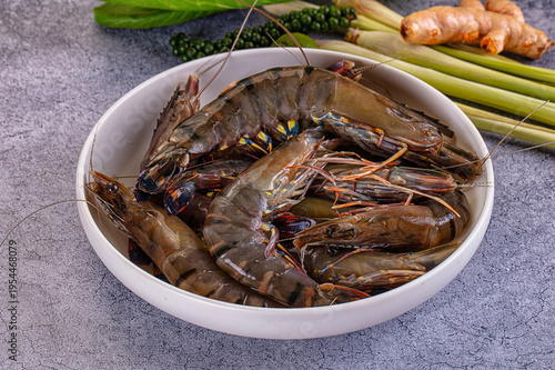 Raw fresh tiger prawn for cooking
