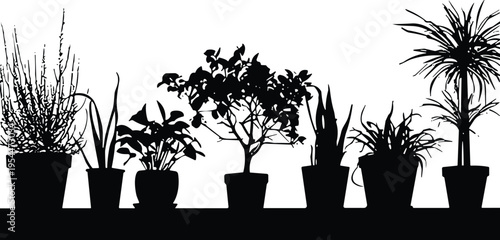 Potted houseplant silhouette collection with various indoor plants in flower pots arranged on shelf, botanical home decor elements isolated vector illustration set
